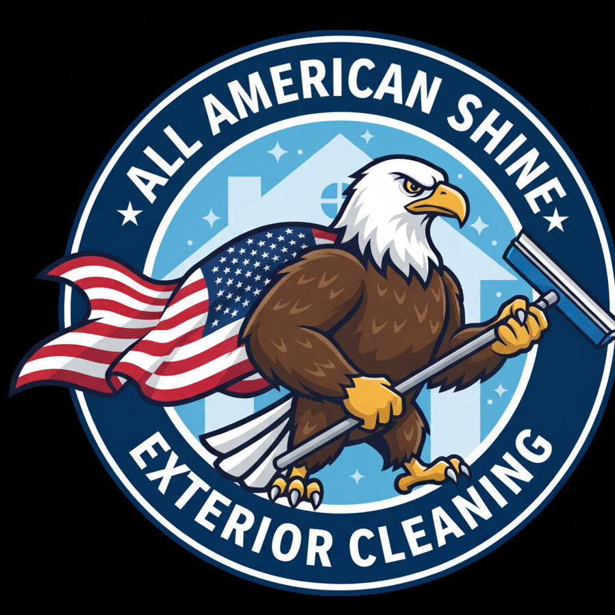 allamericanshine.com